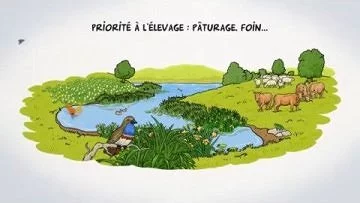 Illustration de la vidéo Zones humides, zones utiles : agissons !